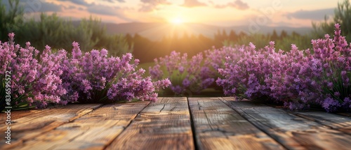 Beautiful sunrise over a lavender field with a rustic wooden deck in the foreground, capturing the serene and tranquil atmosphere.