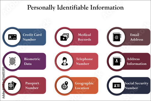 Eight Personally Identifiable Information. Infographic template with icons and description placeholder