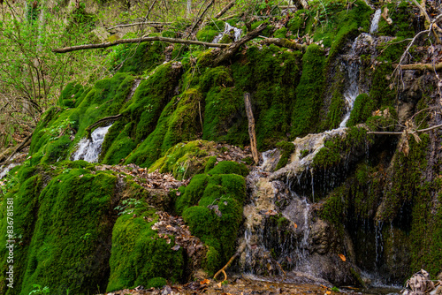 Serene waterfall cascading through mossy cliffs at Beli Izvorac, Serbia