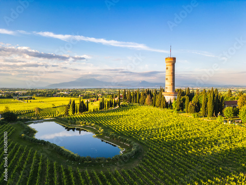 Aerial view of San Martino della Battaglia Tower surrounded of vineyard plantation and lake Garda in the background, San Martino della Battaglia, Lombardy, Italy