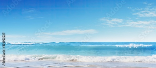Indian Ocean beach scene under a clear blue sky with copy space image.