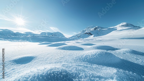 A panoramic view of a snow-covered landscape, with pristine white snow stretching as far as the eye can see, under a clear blue sky, symbolizing purity and freshness.