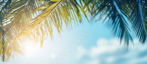 Blurred blue sky and sea with bokeh light and leaves of coconut palm tree Landscape of tropical summer Summer vacation concept. Creative banner. Copyspace image