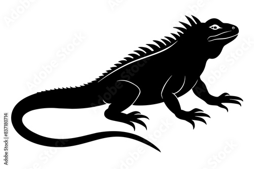 iguana silhouette vector illustration 