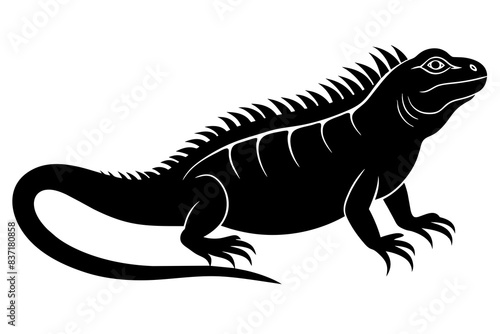 iguana silhouette vector illustration 