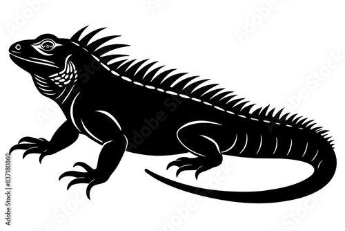 iguana silhouette vector illustration 