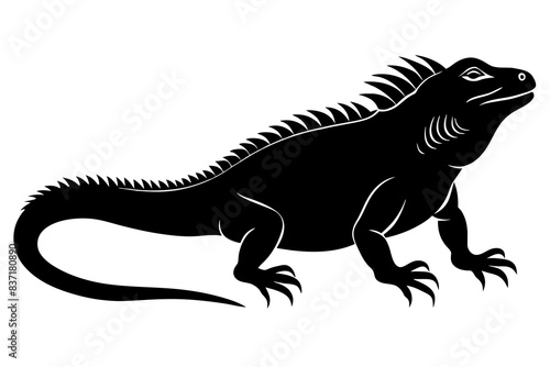 iguana silhouette vector illustration 