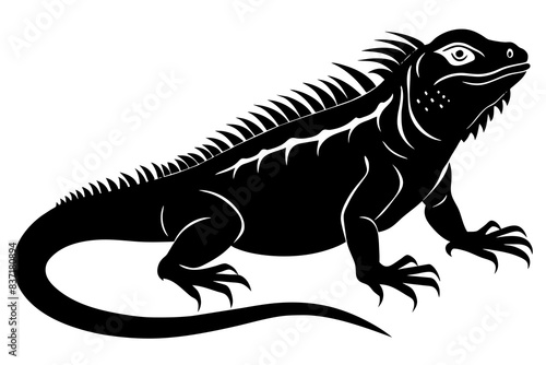 iguana silhouette vector illustration 