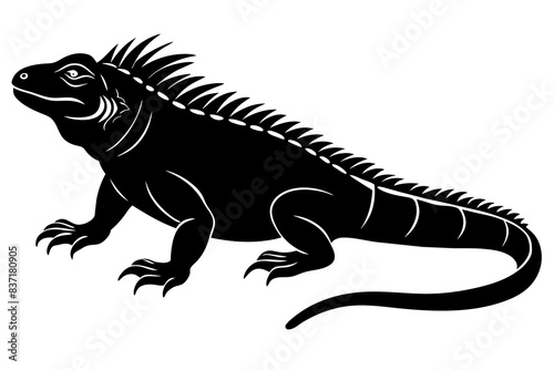 iguana silhouette vector illustration 