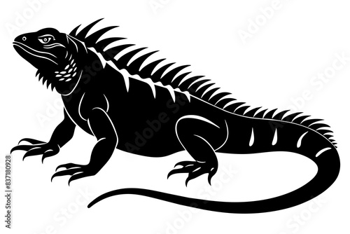 iguana silhouette vector illustration 