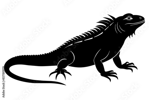 iguana silhouette vector illustration 