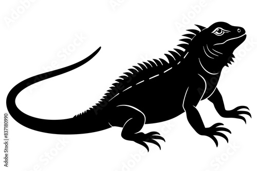 iguana silhouette vector illustration 