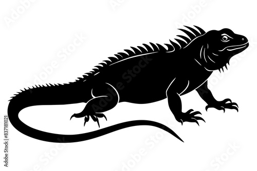 iguana silhouette vector illustration 