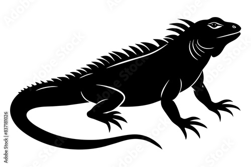 iguana silhouette vector illustration 