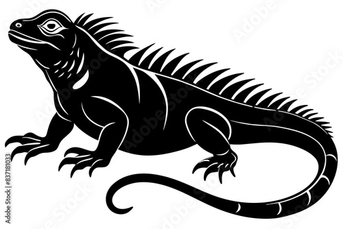 iguana silhouette vector illustration 