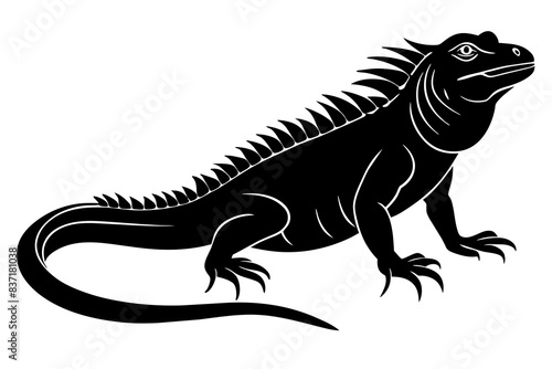 iguana silhouette vector illustration 