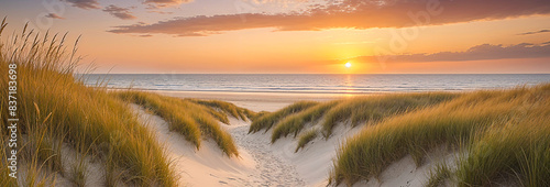Dune beach panorama at sunset, coast sand dunes against setting sun twilight wide screen