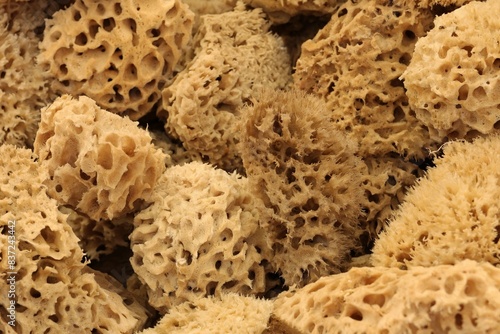 A close-up of a sea sponge intended for washing, filling the entire frame.