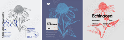 Label design featuring Echinacea in an engraving style, presented on various colored backgrounds. Each label highlights the elegance and natural beauty of the plant.