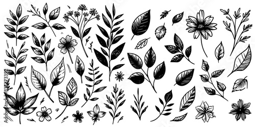 decorative leaves sketch hatched set black vector, laser cutting, engraving, print, woodcut and linocut