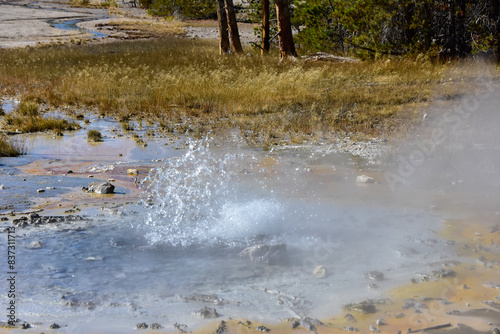 A small geyser bubbling in Norris Geyser Basin, Yellowstone National Park.
