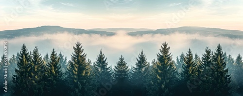 Amazing fog landscape in black forest panorama banner long, Generative AI