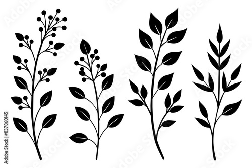floral branch silhouette vector illustration
