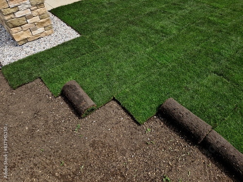 laying grass turf in the family garden. a roll of sod is driven onto the plowed surface of the soil. development and paving is important against erosion and drying out