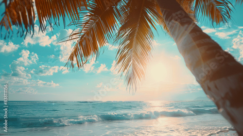 Tropical paradise beach scene with palm trees, turquoise waves, and golden sunlight creating a serene and peaceful coastal atmosphere. Perfect for summer vibes.
