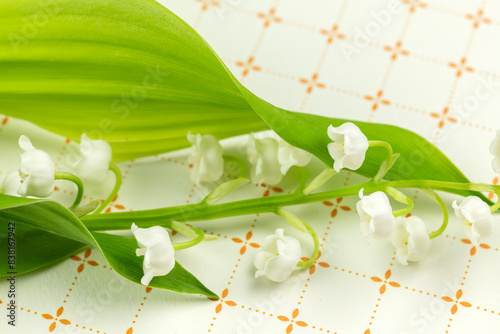 bouquet de muguet, en gros plan sur un fond coloré 