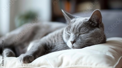 A gray cat with closed eyes is sleeping peacefully on a white pillow. The cat is curled up, with its paws tucked underneath its body.