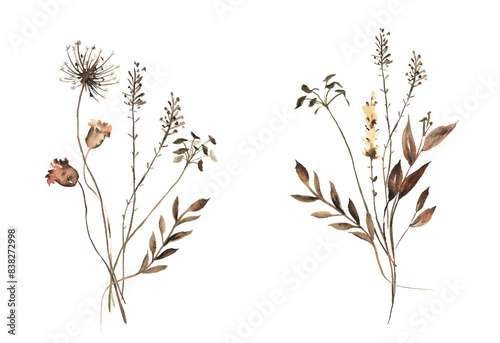 Watercolor painted floral dried bouquets. Brown dried wild flowers, branches, leaves. Cut out hand drawn PNG illustration on transparent background.