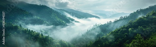 Mountains covered in fog and low clouds with trees on the sides