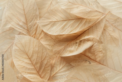 Leaves in shades of beige and brown