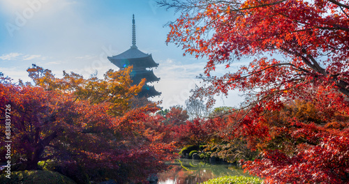 The most beautiful viewpoint of Toji(To-ji) is a popular tourist destination in Kyoto, Japan.