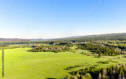Aerial view of the forest and fields with green grass. Sunny nice summer day