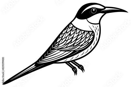  bee eater bird vector illustration 