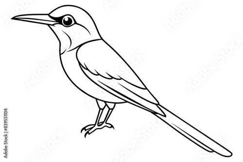bee eater bird line art silhouette vector illustration