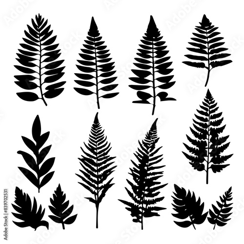 set of silhouettes of leafs, Vector style design , flat