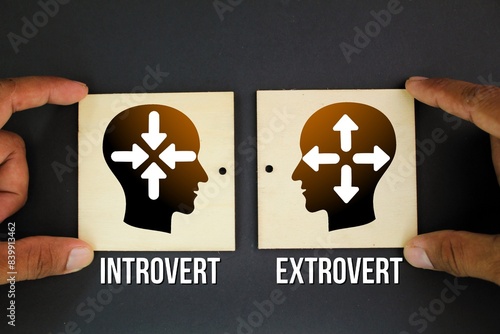 two sticks with introvert and extrovert icons, which is to be Ambivert