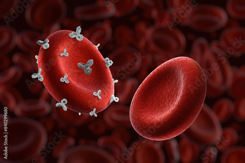 Rhesus Rh positive and negative factor red blood cells, key in blood typing for transfusions, pregnancies, involves genetics, immunology, healthcare, antibody responses. Rhd protein antigen medical 3D