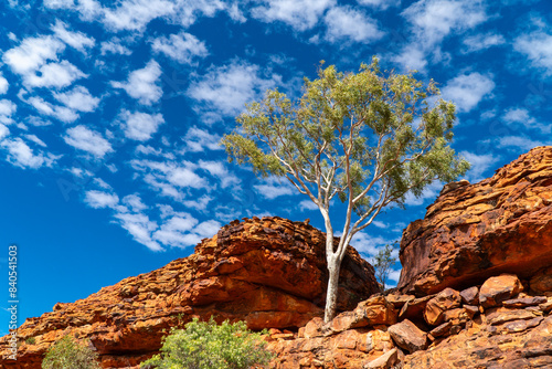 Kings Canyon / Watarrka Rim Walk, Northern Territory, Australia
