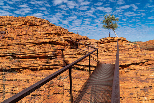 Kings Canyon / Watarrka Rim Walk, Garden Eden, Northern Territory, Australia