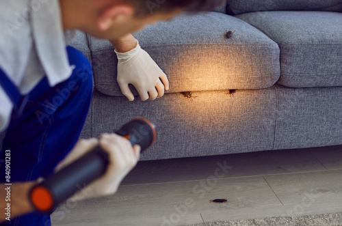 Man, professional pest control worker examining a sofa in the living room with a flashlight, uncovering cockroaches. Thorough inspections help maintain a insect-free domestic surroundings.