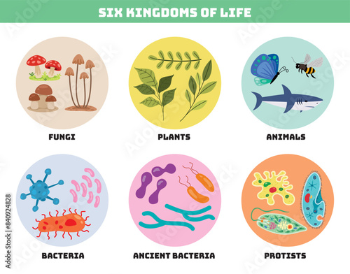 Diagram Showing Six Kingdoms Of Life