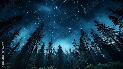 the natural phenomenon of the Milky Way in the night sky full of stars with the silhouette of a forest and many pine trees