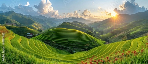 Rice terraces in Vietnam, beautiful scenery of rice fields with mountains at the background.
