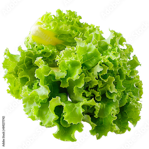 [Transparent Background PNG]Fresh green lettuce isolated on white background