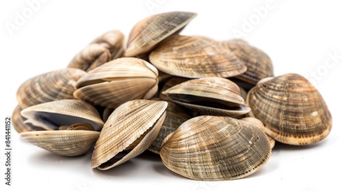 A bunch of fresh clams isolated on a white background. Simple yet highly detailed image, perfect for culinary or seafood-related content.. AI