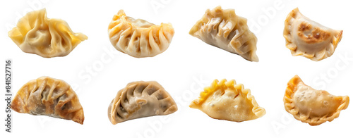 Wonton dumpling side view full length isolate on transparency background PNG